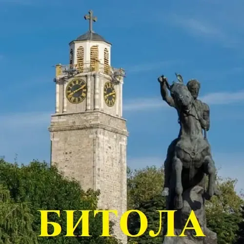Website Image